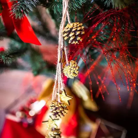 e335d7fb-b95e-4126-aad7-d3bbf0cf3e36_2