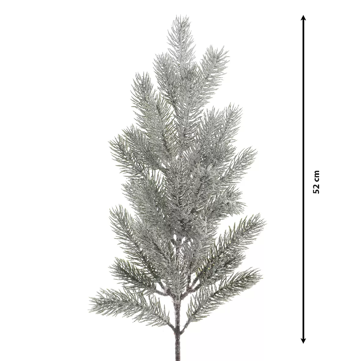 822ee842-2f3d-49c1-95bc-7c0f9f607c76_1