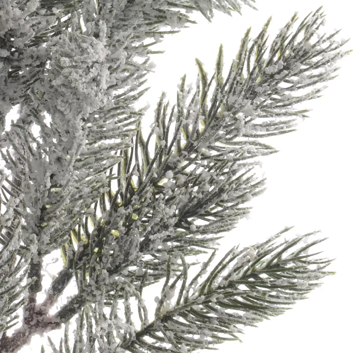 822ee842-2f3d-49c1-95bc-7c0f9f607c76_2