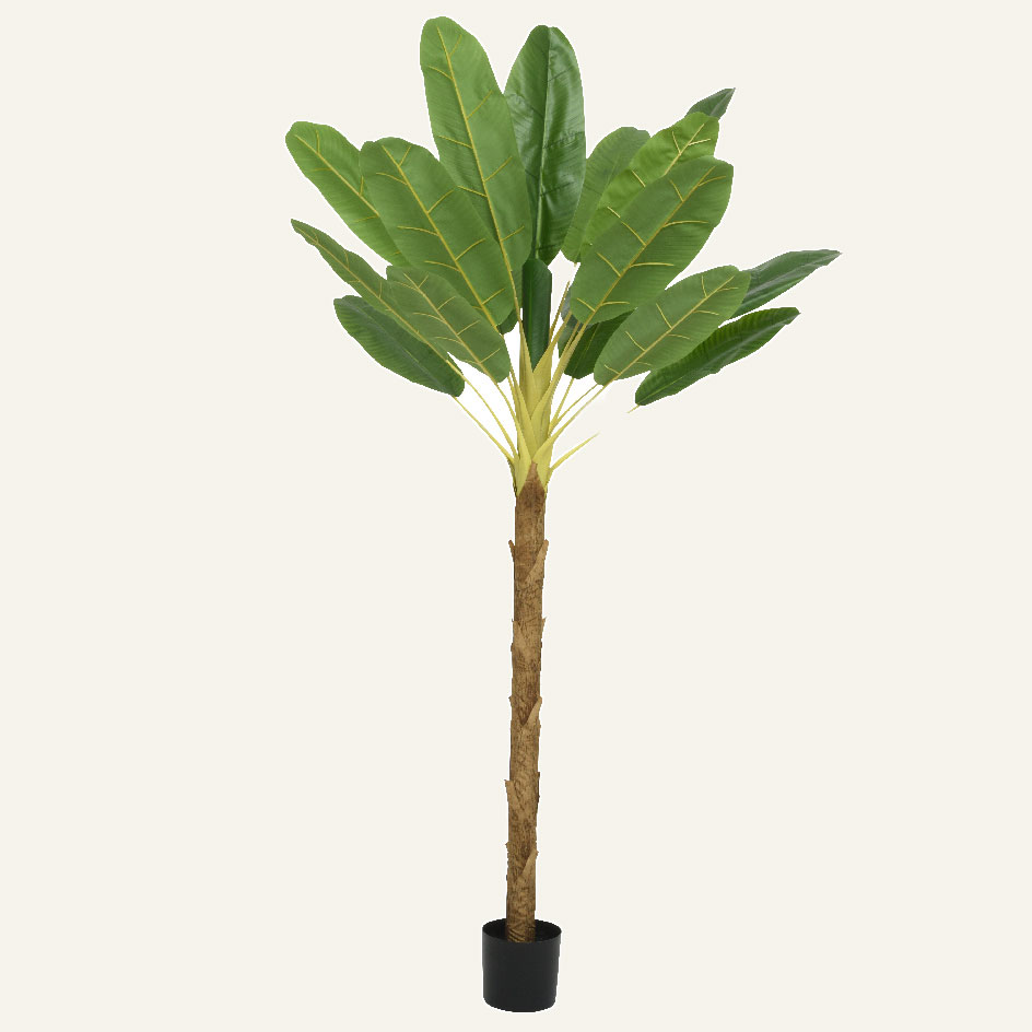 dd9db2f9-a4d8-4eeb-b626-e6333b0329f9