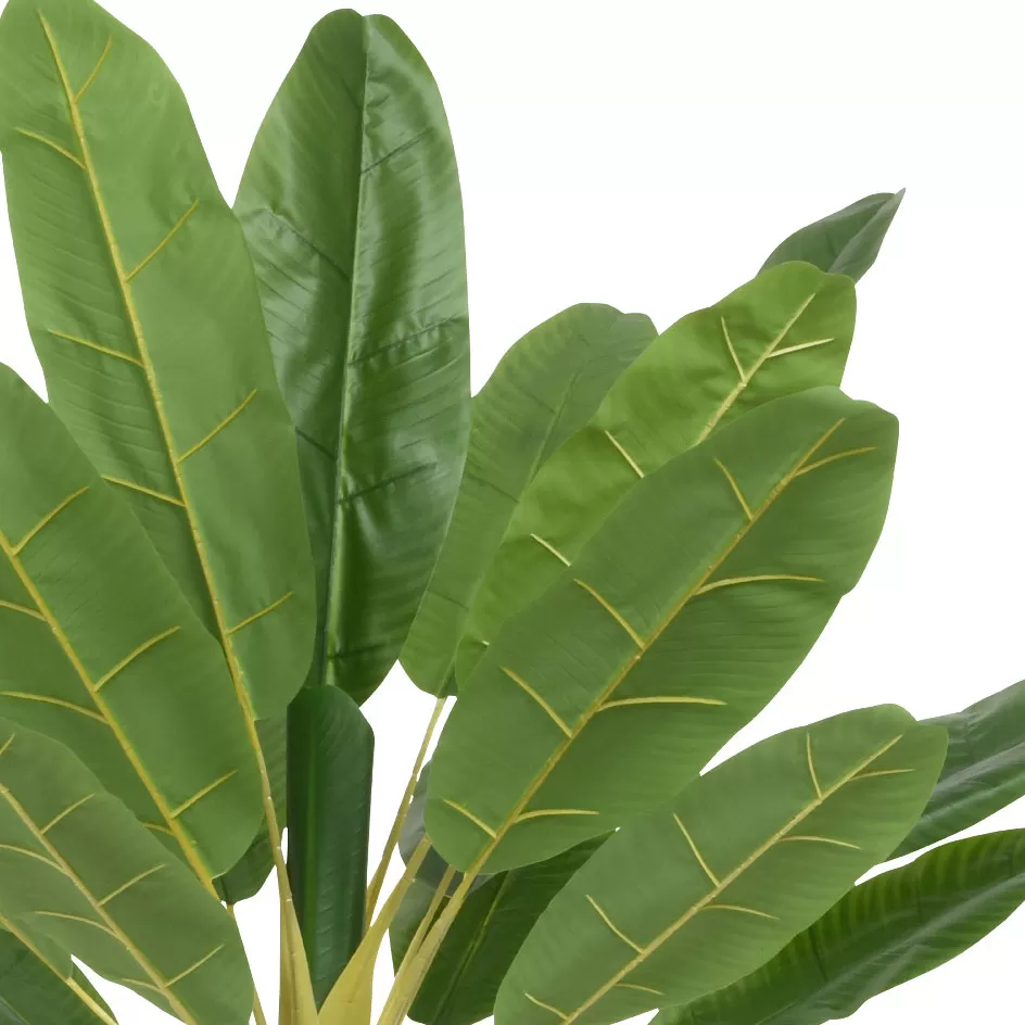 dd9db2f9-a4d8-4eeb-b626-e6333b0329f9_1