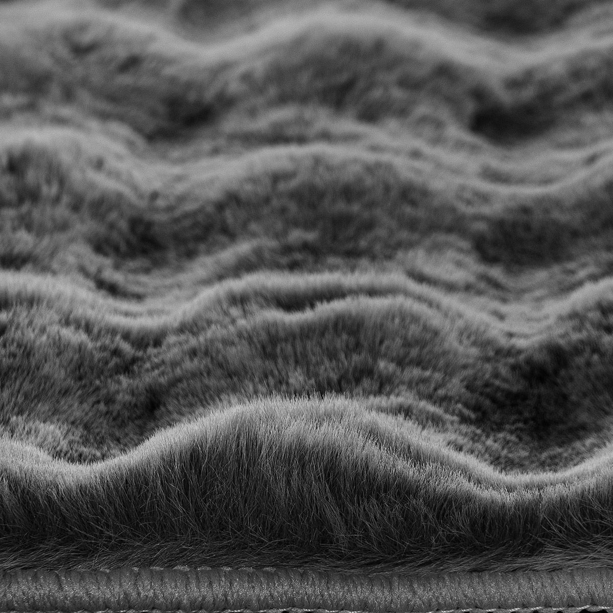 9650_zoom2